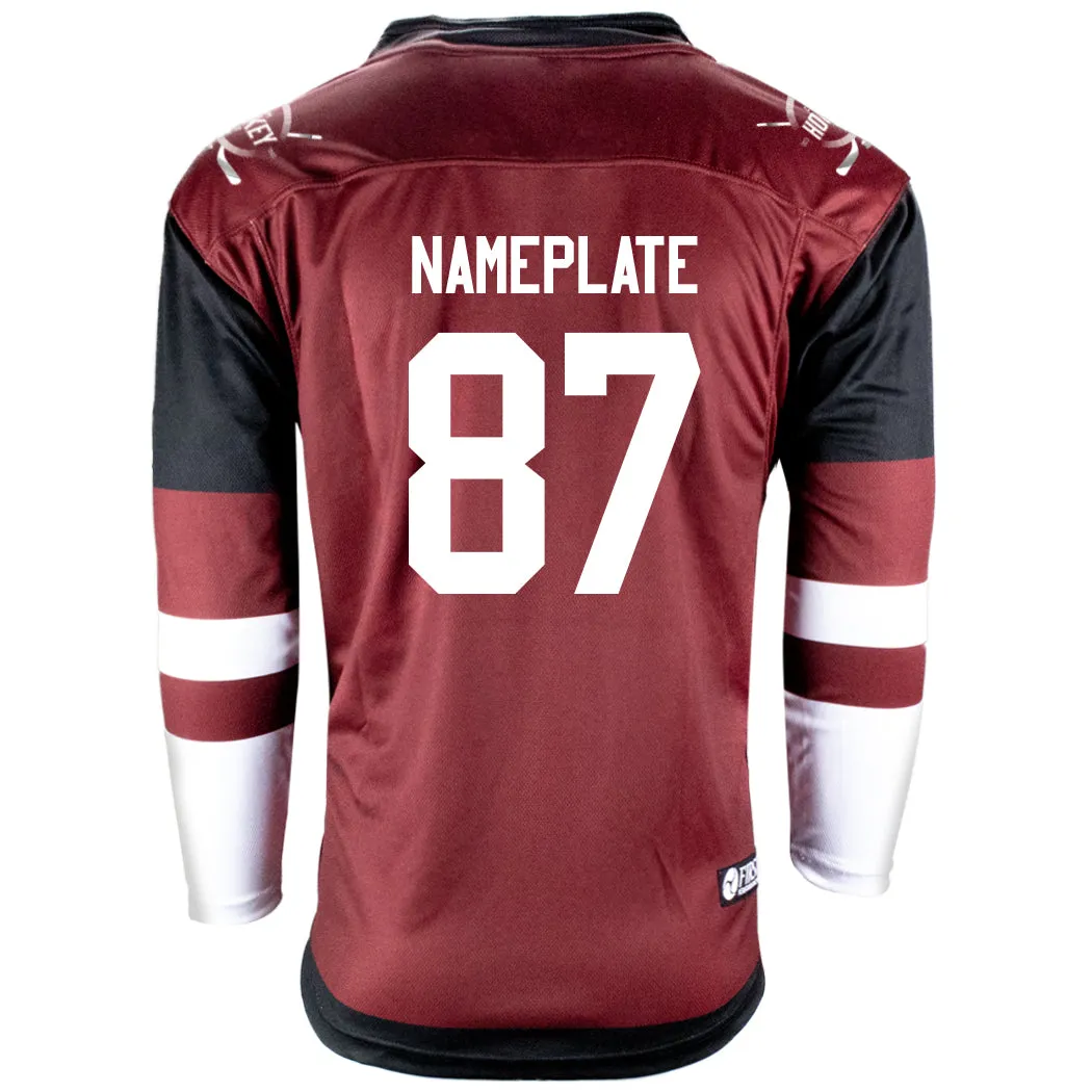 Arizona Coyotes Firstar Gamewear Pro Performance Hockey Jersey with Customization