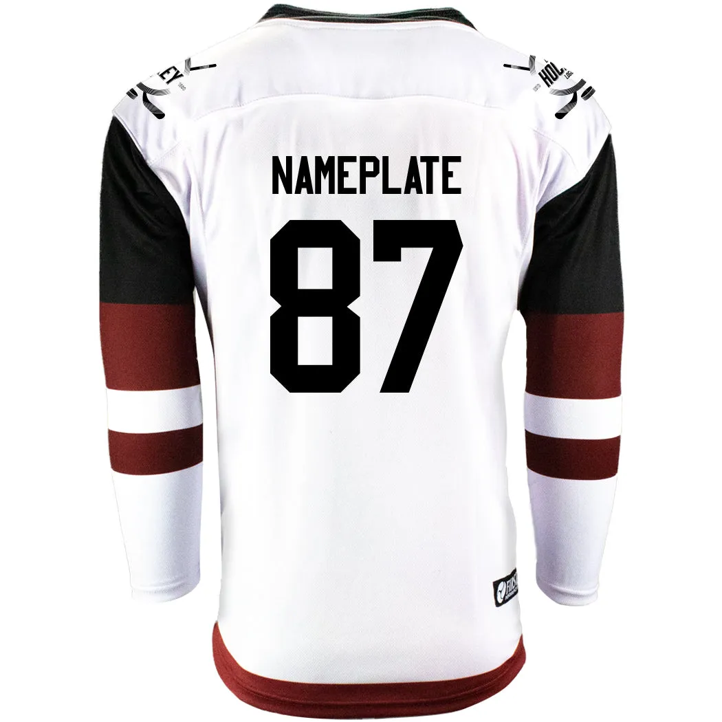 Arizona Coyotes Firstar Gamewear Pro Performance Hockey Jersey with Customization