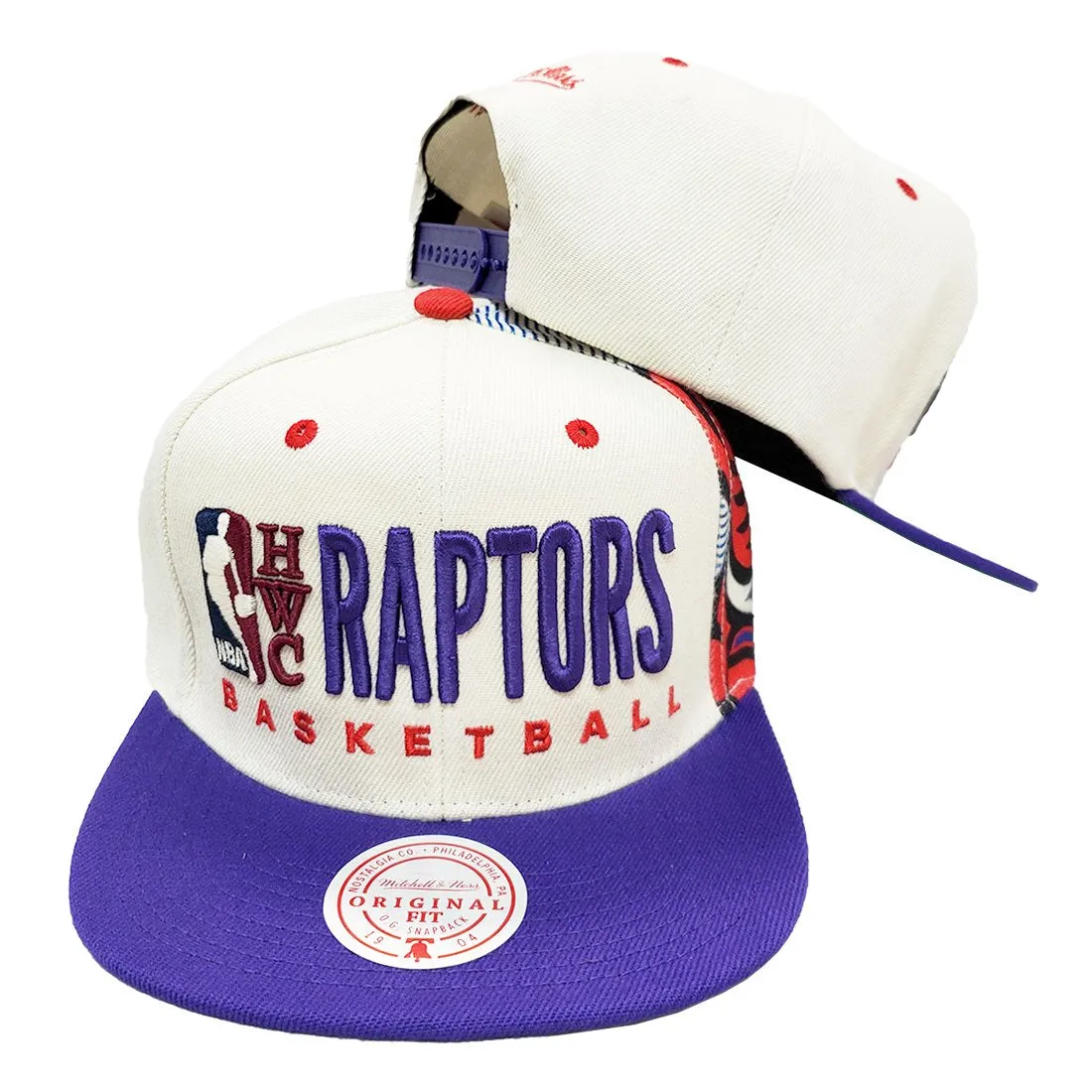 Mitchell & Ness Toronto Raptors Team Basketball Big Face HWC 6HSSJS19256