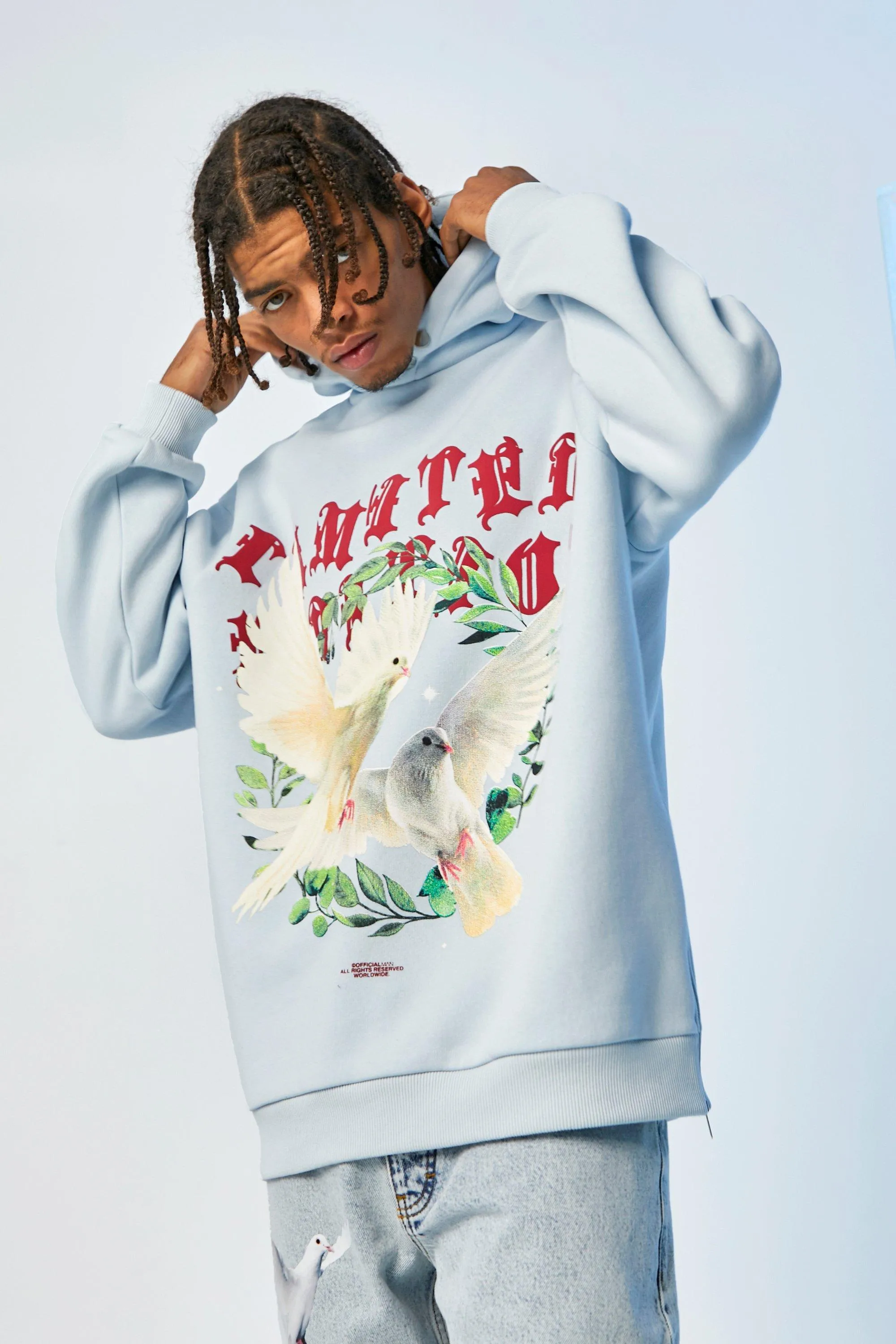 Oversized Dove Graphic Zip Hem Hoodie