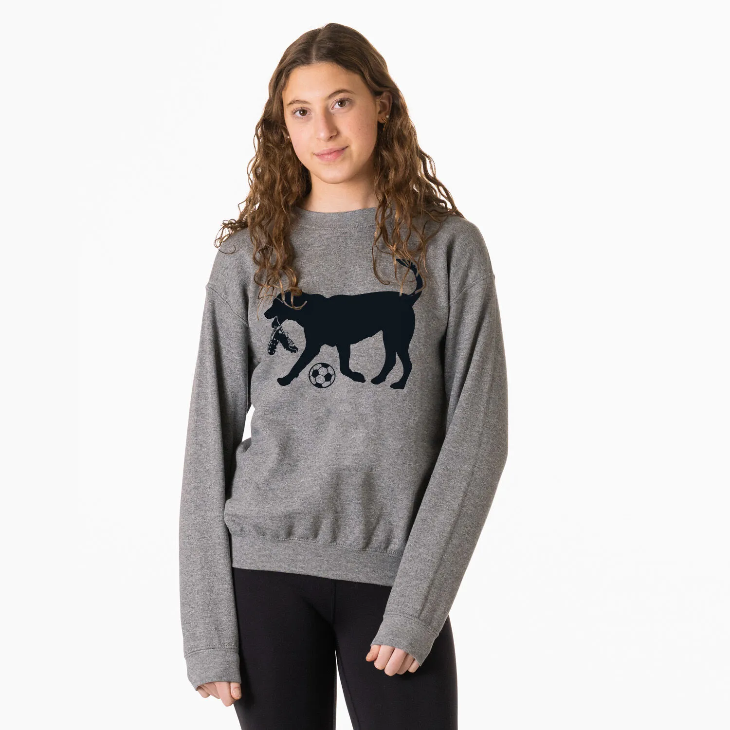 Soccer Crewneck Sweatshirt - Spot The Soccer Dog 