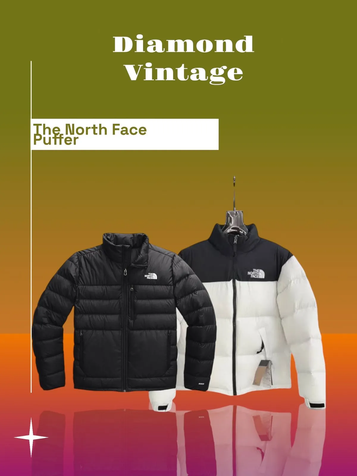 The North Face Puffer 10 Piece